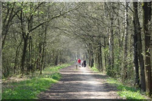 Fotozoektocht-2010 (3)